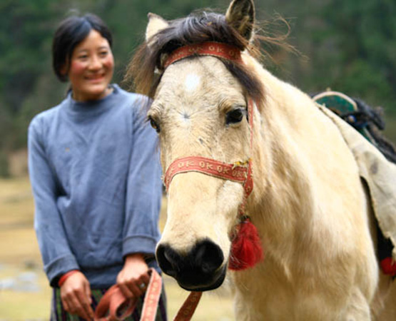Bhutan Riding Adventure