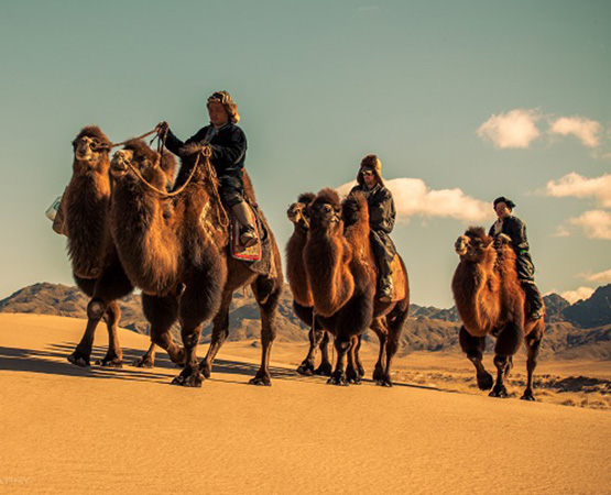 Our top 10 things to do in Mongolia
